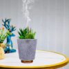 Humidifier & Aroma Diffuser